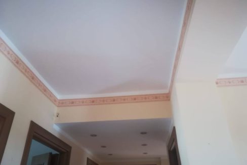 5a5ed344-5599-496e-b954-360200c7ca02