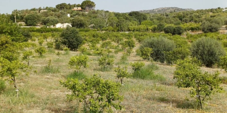 0c13a033-f698-48b9-b23e-ce75436537a3