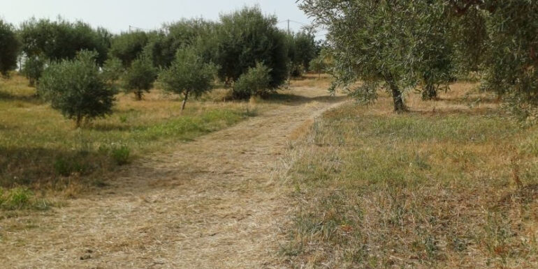 148b2051-bb35-48dc-b787-15ced00e65db