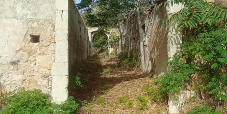 184bde3a-7e67-4653-91f8-ed8d5cc198f4