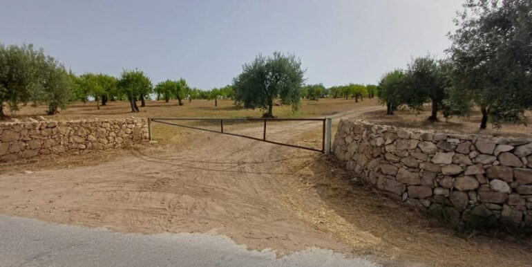 1935d4a1-592c-460b-a052-d803123d9c90