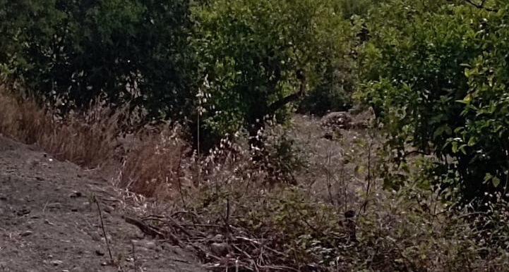 1c4d074f-f9de-4412-82a7-ac1759418e84