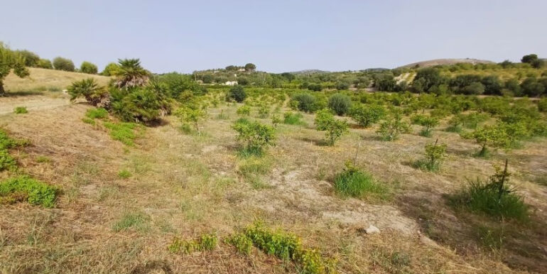 2e634d91-8fb9-40f4-b1e7-837954b98c1d