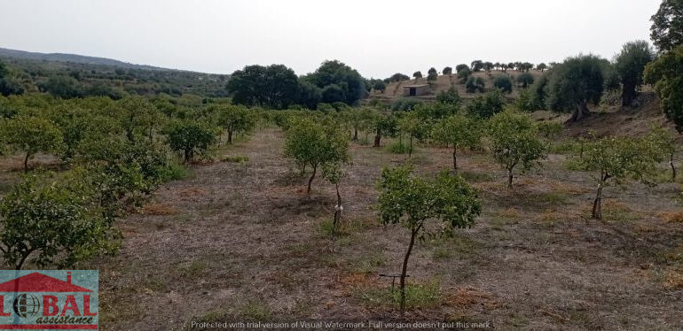 41df7a17-545d-4836-8467-9147b4e3811b