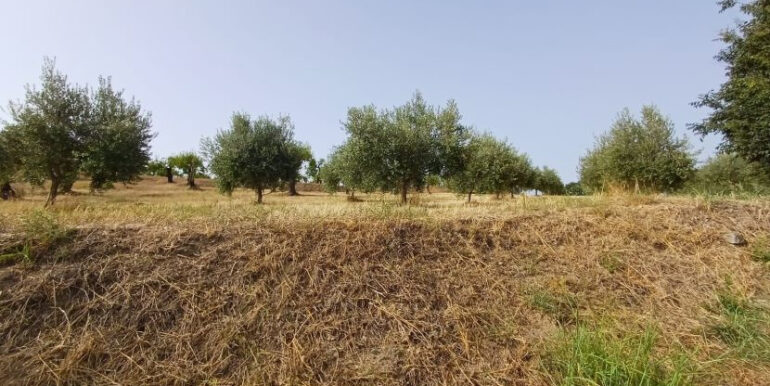 435d6526-f6aa-488b-a53a-05e74c02cd08