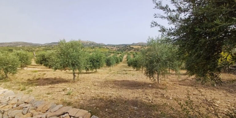 534b2b60-e208-46f9-bdb4-b72aed209256