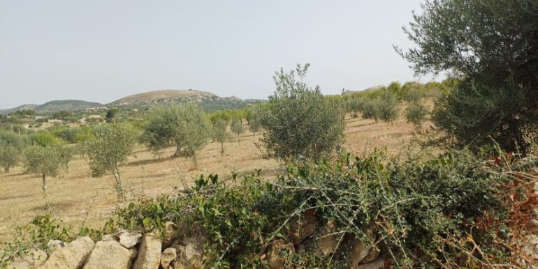 541eca40-8c4f-4247-8dd4-3f34194bce22