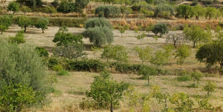 6017bdac-fe1a-46fe-9890-a2c419661d02