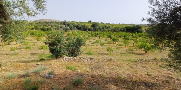 623cc95a-2f14-4ba3-9c0f-09f8894a2a8e