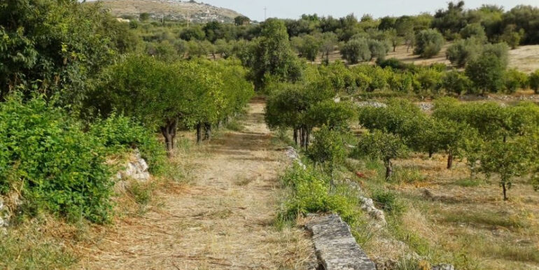 660a39be-00a8-4bdf-930c-10f798070193