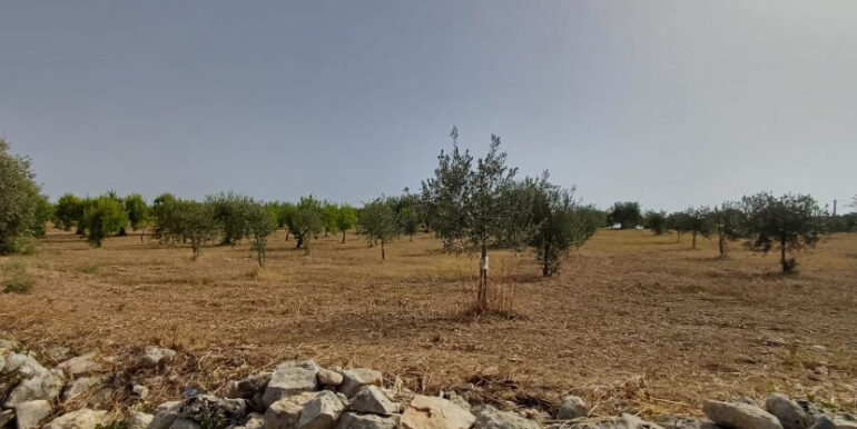 728fbb9e-79ac-4ebb-9a3b-8847dc5656ff