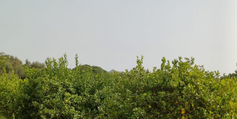 796c88b2-f1ae-4feb-ac0a-7f9ce88b3bb7