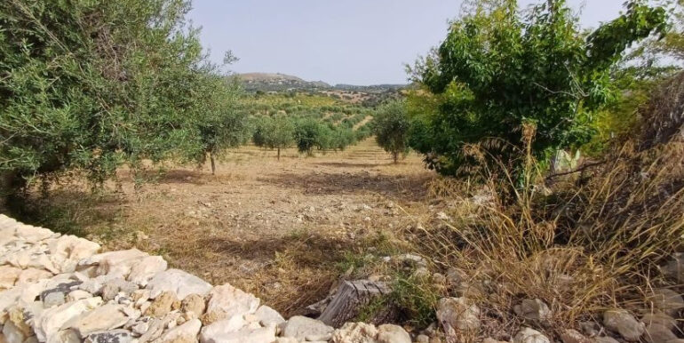 8b2f65ac-1c4e-4a5f-aa29-a3dab620f3f0