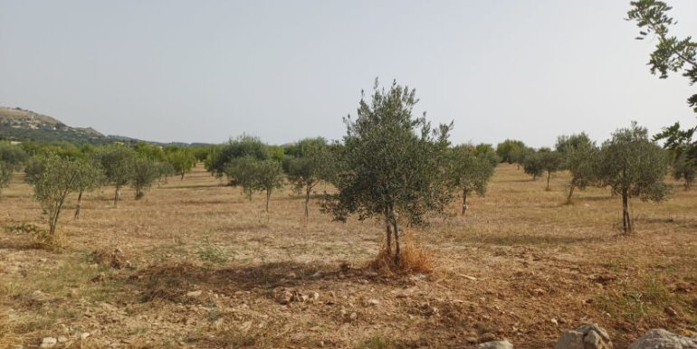 a104e1dc-3a50-4cda-9b12-d0d8c4e7ed99