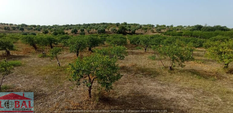 a28f8b3b-5dd3-4d6d-8cd1-fdfe657c4954