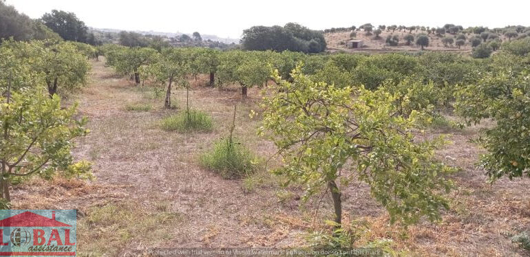 bd77b89f-32ce-467a-b0dc-bfaac23460fd