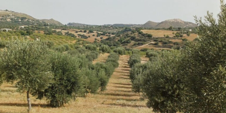 bdd26ce9-57b3-4242-aca9-263151caa58b