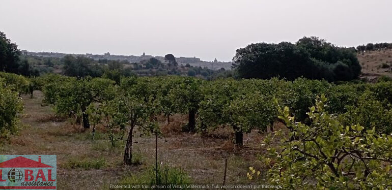 cef13f46-0542-4995-be41-8ba2f8f3894d