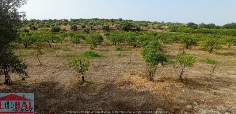 f3130c0b-f0d2-418d-b540-bd6f93b9ad41