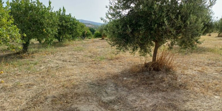 fcb1de86-0189-4ee9-8187-acb39ce61d2f