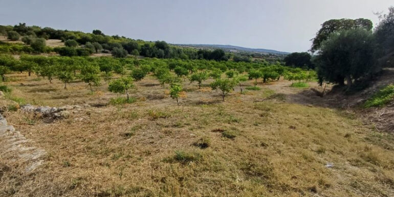 ffbed321-f56b-44dd-abac-c83360d57273