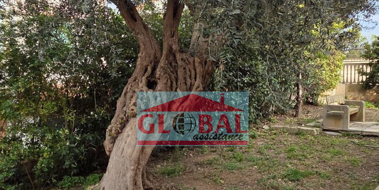 10 (1)